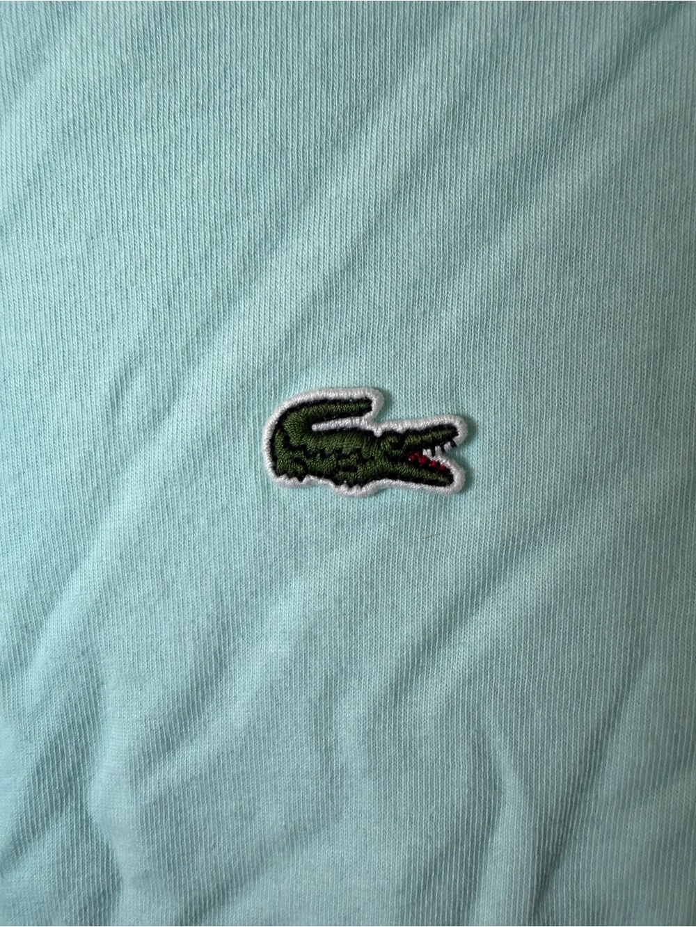 Lacoste Mint Hoodie with Crocodile Logo - Picture 2 of 5